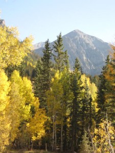 IMG 1002 225x300 Autumn in Colorado