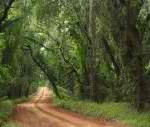 ga road 150x127 Those Red Dirt Roads ~