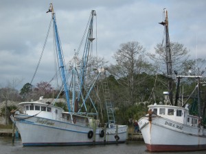 IMG 0297 300x225 Shrimp Boats